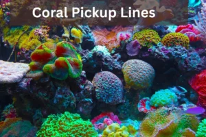 Read more about the article Coral Pickup Lines to Make Waves in Your Conversations