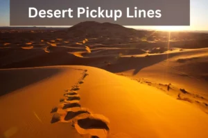 Read more about the article Desert Pickup Lines to Add Some Heat to Your Conversations