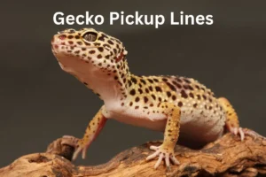 Read more about the article Gecko Pickup Lines That Will Have You Charmed