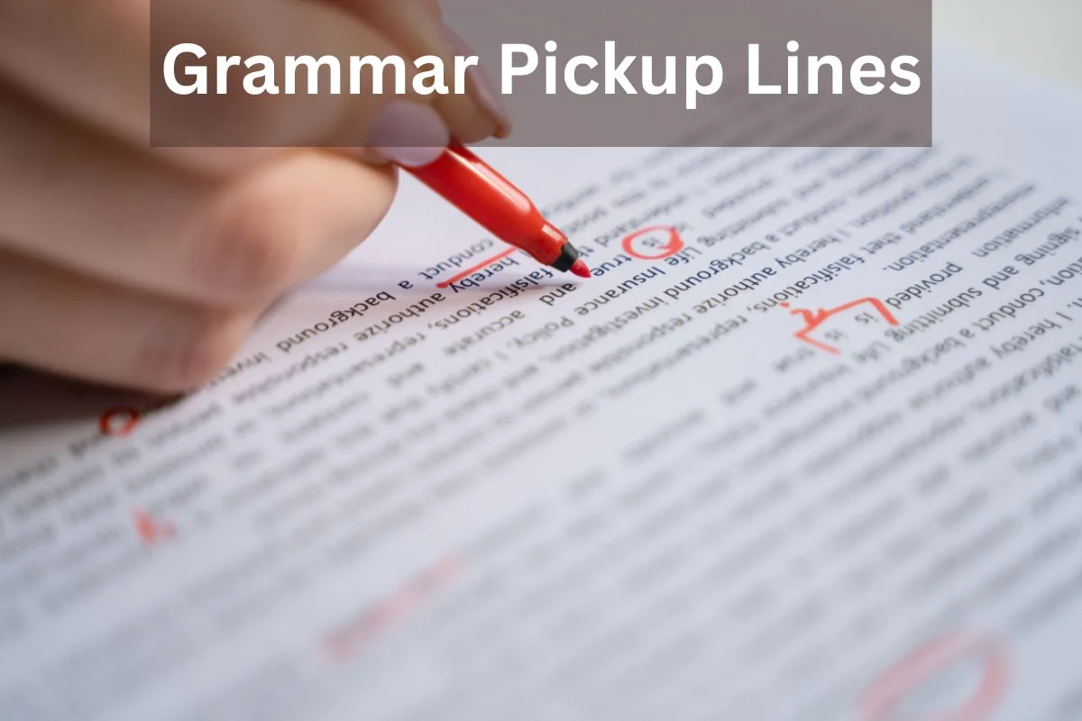 Grammar Pickup Lines