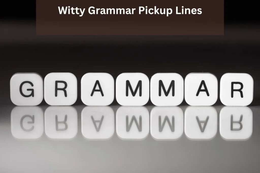 Witty Grammar Pickup Lines