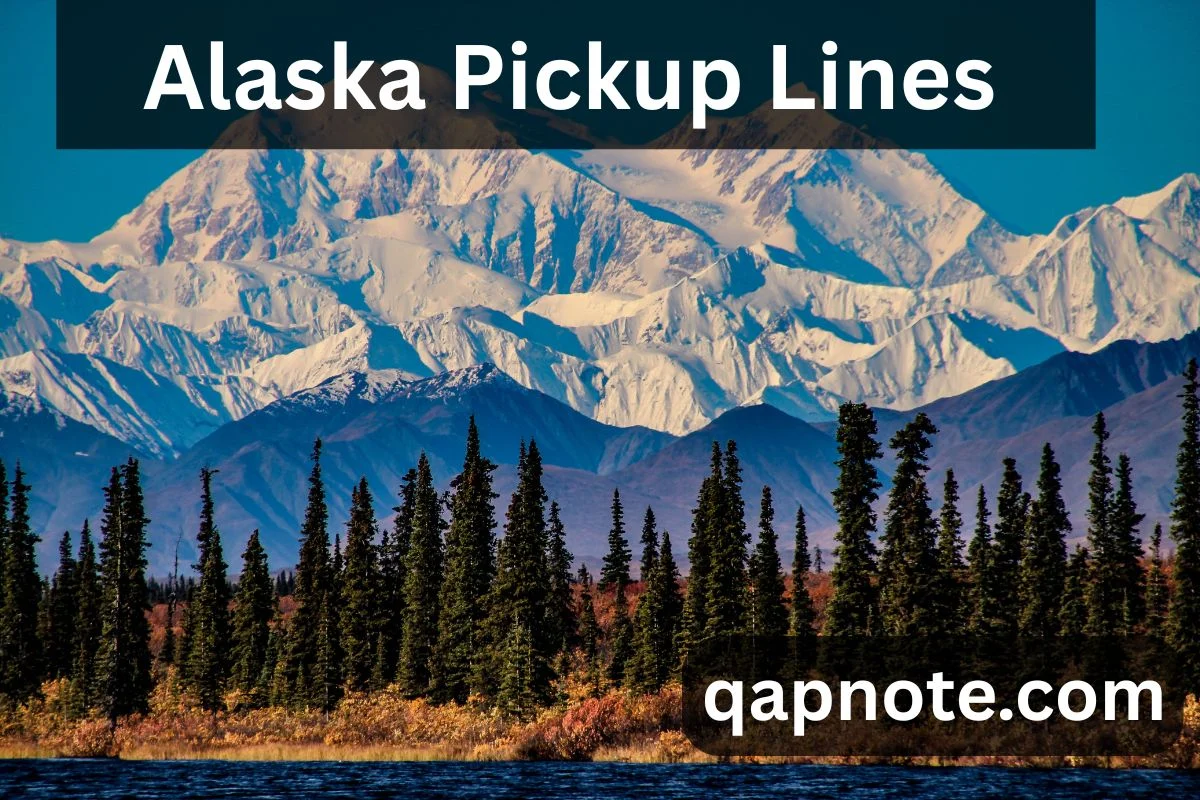 Alaska Pickup Lines