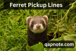 Read more about the article Ferret Pickup Lines That Will Make You Smile