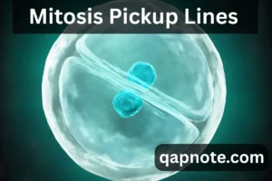 Read more about the article 🔬 Let’s Split Together: The Best Mitosis Pickup Lines That Multiply Love