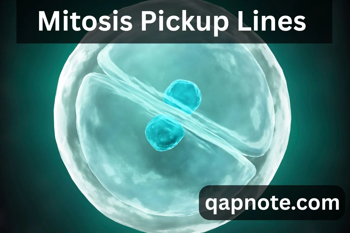 Mitosis Pickup Lines