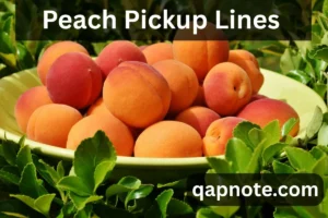 Read more about the article 🧡 Peach Please! Flirty Peach Pickup Lines That Are Ripe for Romance 2025