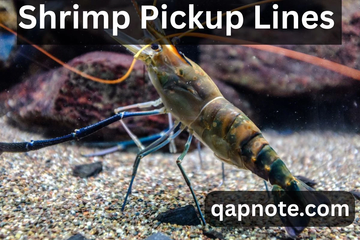 Shrimp Pickup Lines