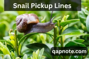Read more about the article The Ultimate Snail Pickup Lines to Charm Your Crush