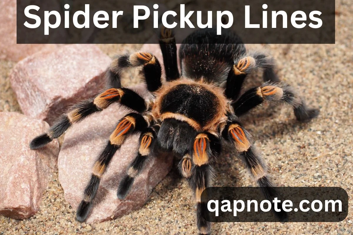 Read more about the article 321 🕷️ Spin My Web: The Best Spider Pickup Lines That’ll Catch Any Heart!