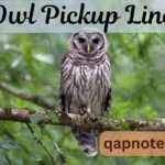 Owl Pickup Line: A Hoot for Every Occasion