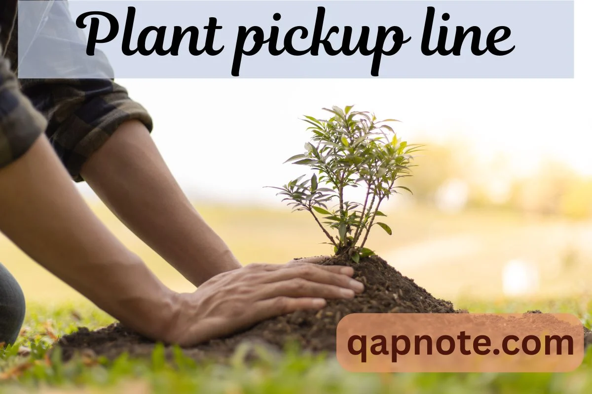 Read more about the article Plant pickup line
