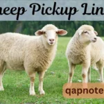 Sheep Pickup Lines: A Fun and Fluffy Way to Make Someone Smile