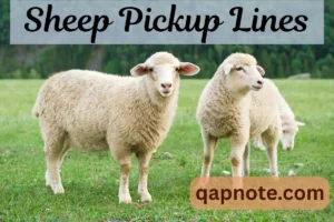 Read more about the article Sheep Pickup Lines: A Fun and Fluffy Way to Make Someone Smile