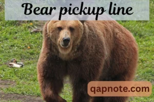 Read more about the article Bear pickup line