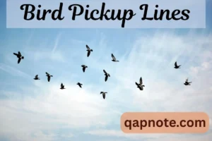 Read more about the article Bird Pickup Lines