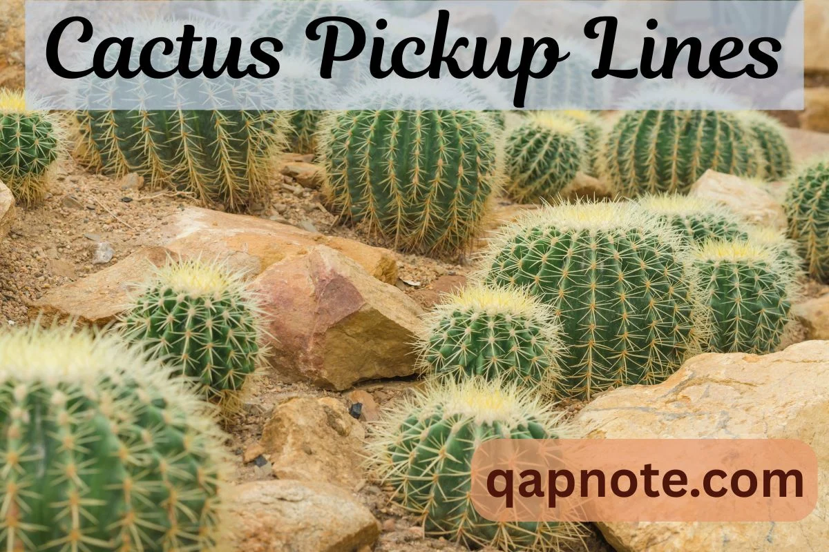 Cactus Pickup Lines