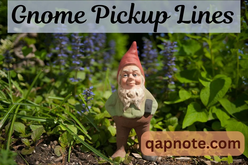 Gnome Pickup Lines