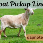 Goat Pickup Lines: Funny and Cute Ways to Break the Ice