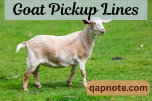 Read more about the article Goat Pickup Lines: Funny and Cute Ways to Break the Ice