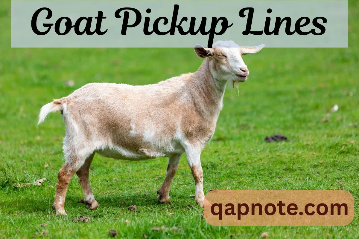 Read more about the article Goat Pickup Lines: Funny and Cute Ways to Break the Ice