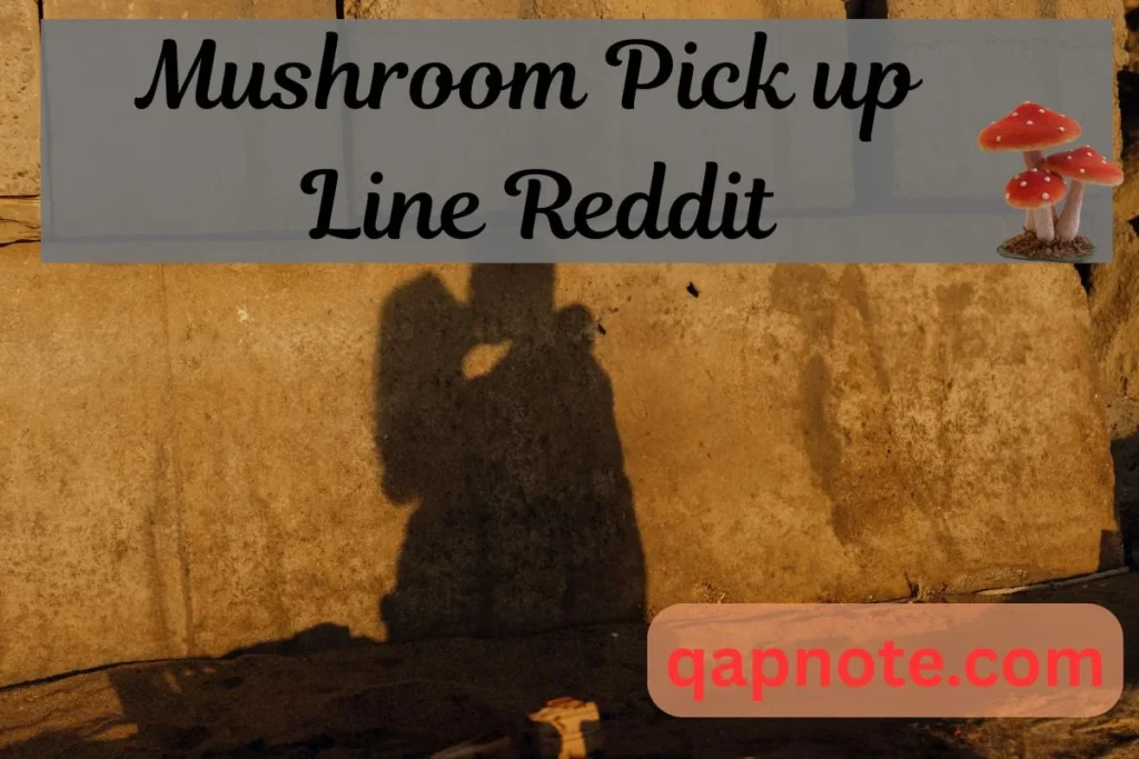 Mushroom Pick up Line Reddit