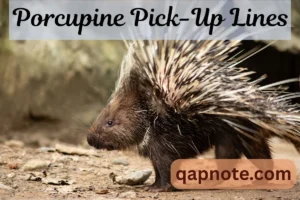 Read more about the article Porcupine Pick-Up Lines