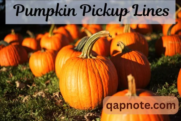 Pumpkin Pickup Lines