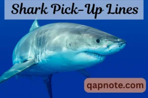 Read more about the article Shark Pick-Up Lines