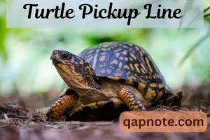 Read more about the article 269 Turtle Pick Up Line Trending Lines to Win Their Heart instantly 2026