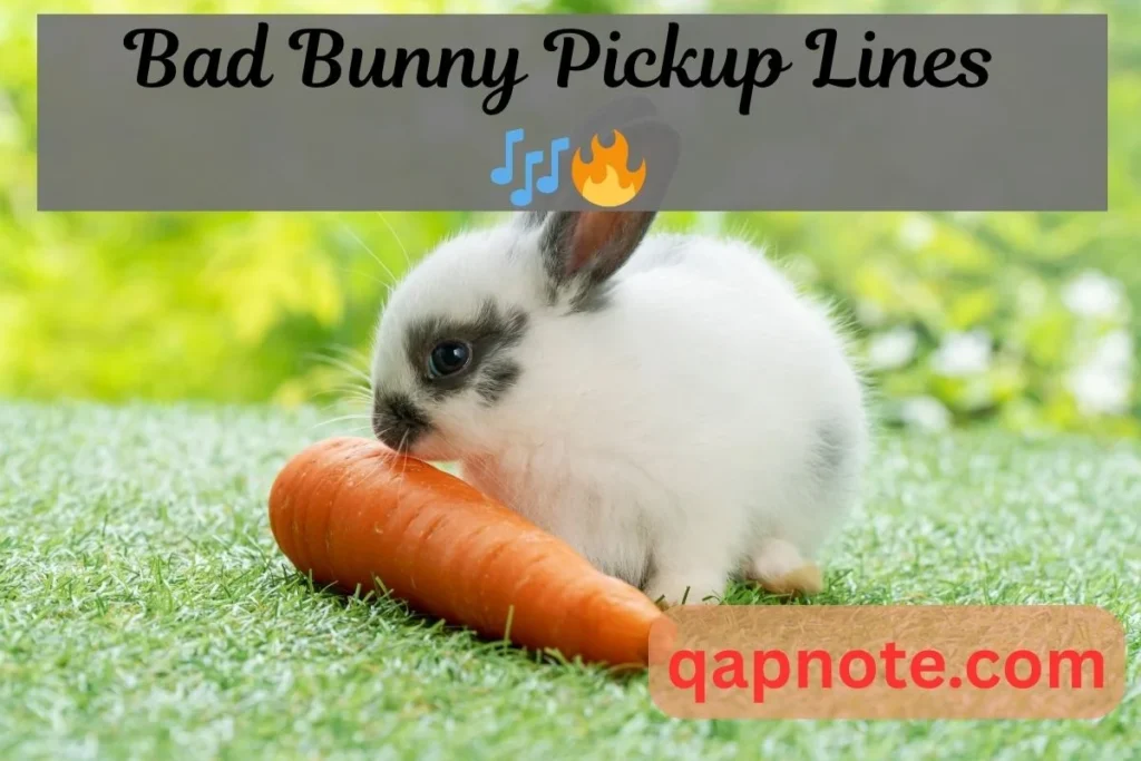 Bad Bunny Pickup Lines