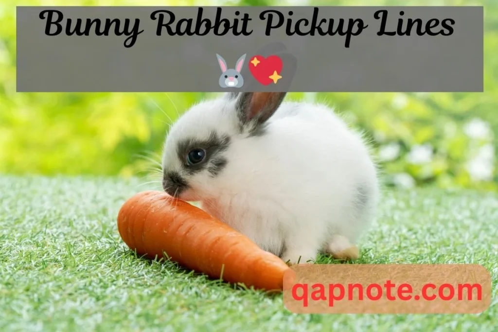 Bunny Rabbit Pickup Lines