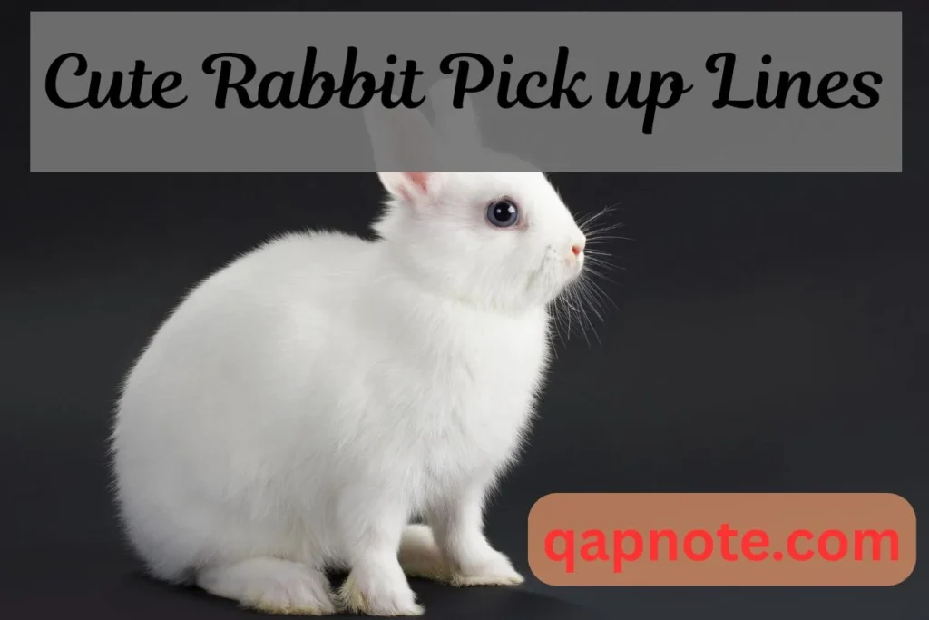Cute Rabbit Pick up Lines
