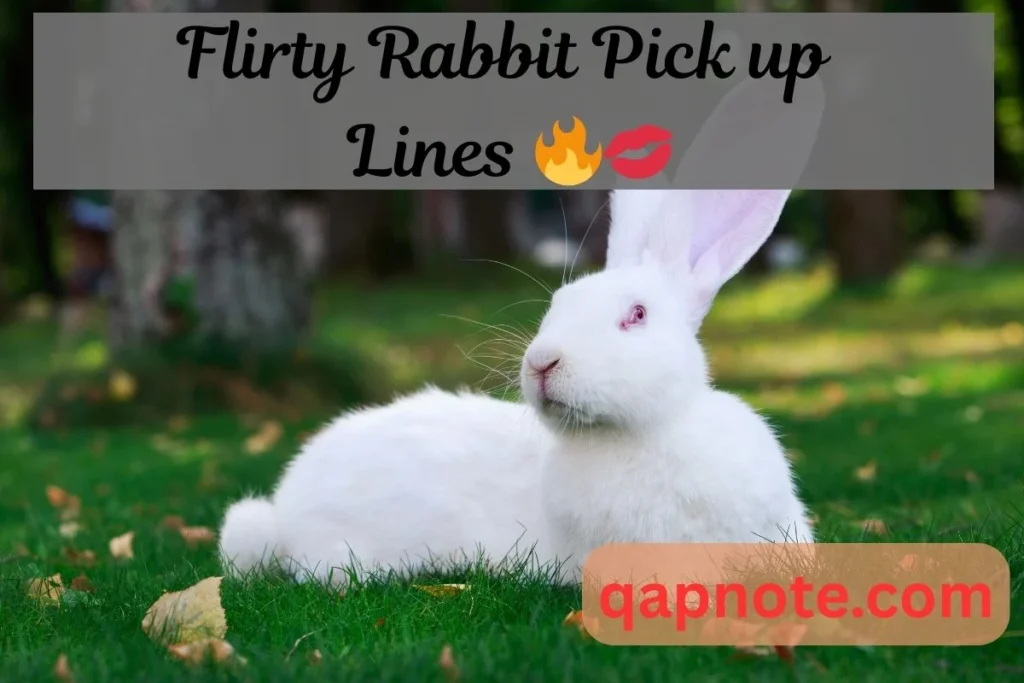 Flirty Rabbit Pick up Lines