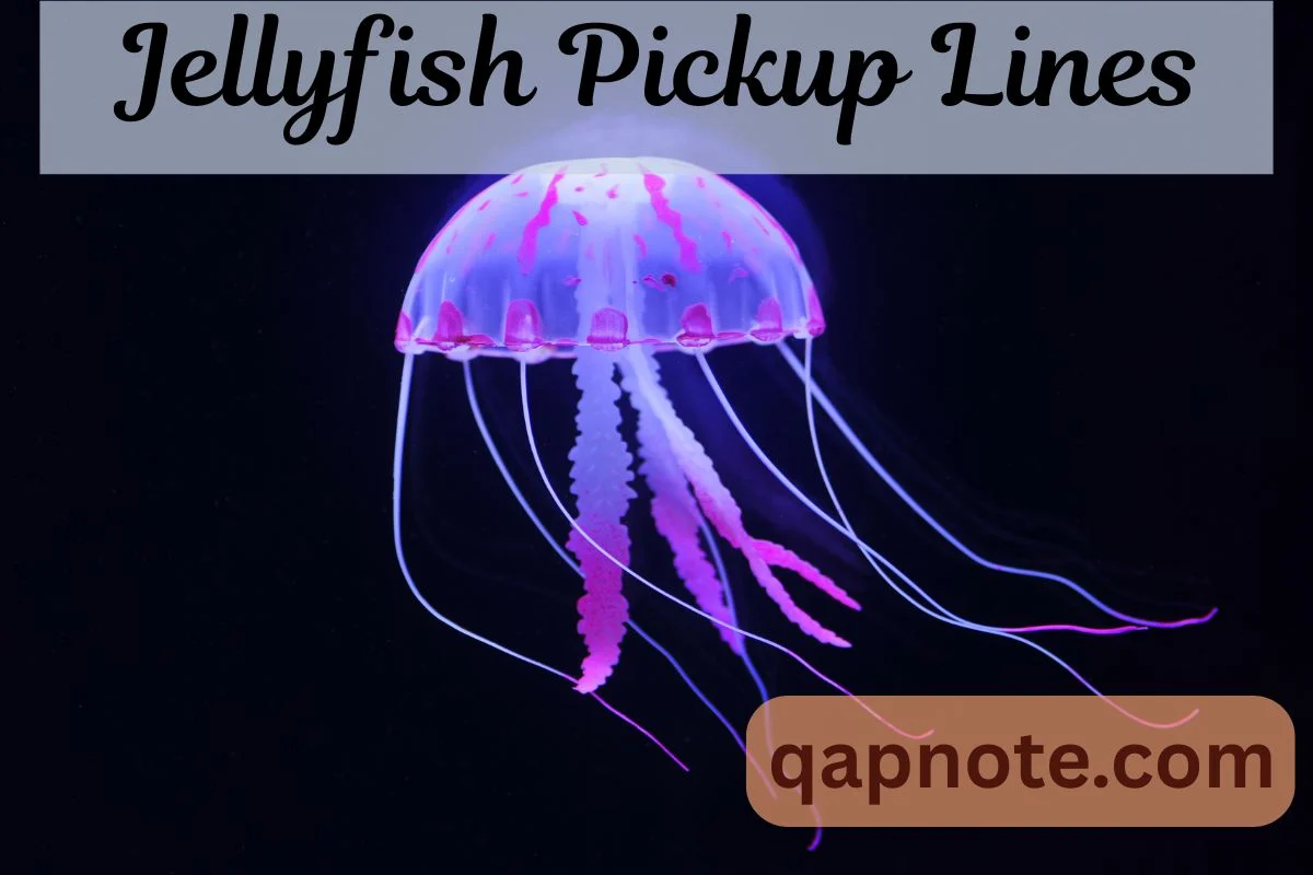 Read more about the article 201 Best Jellyfish Pickup Lines That Will Sting Your Crush With Love 2026🪼💘