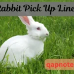 Rabbit Pick Up Lines: 210+ Funny, Cute, and Flirty Bunny Rizz to Hop Into Hearts 🐇💖2026