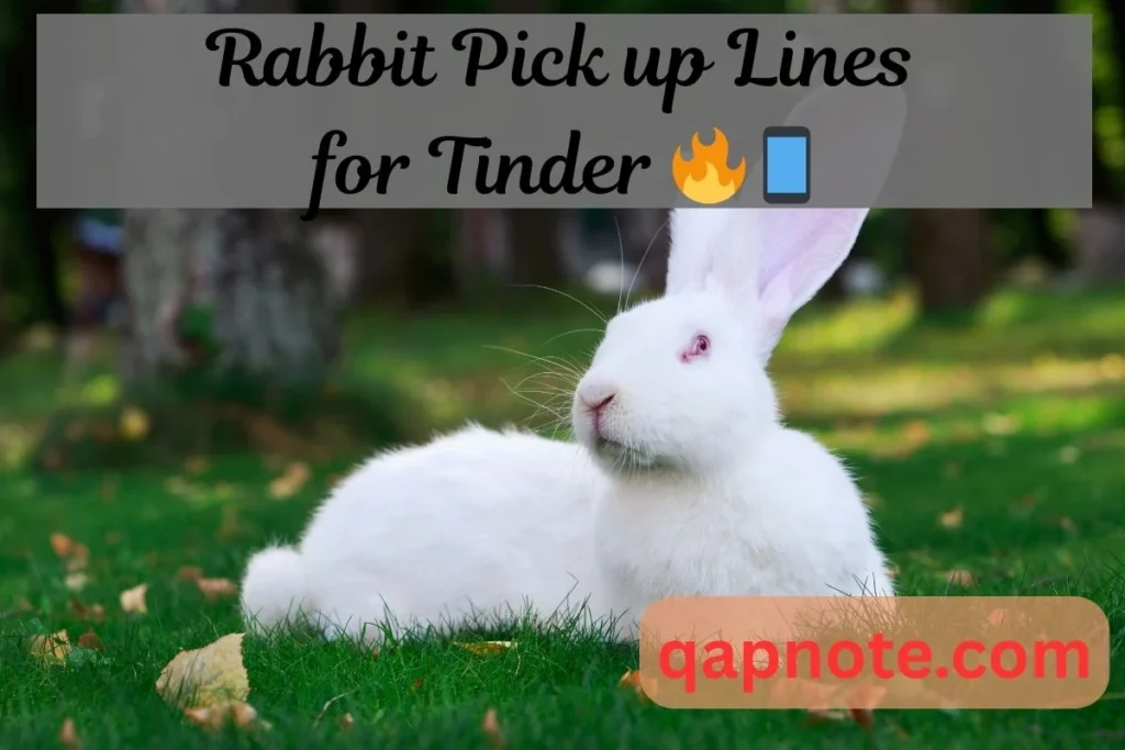 Rabbit Pick up Lines for Tinder
