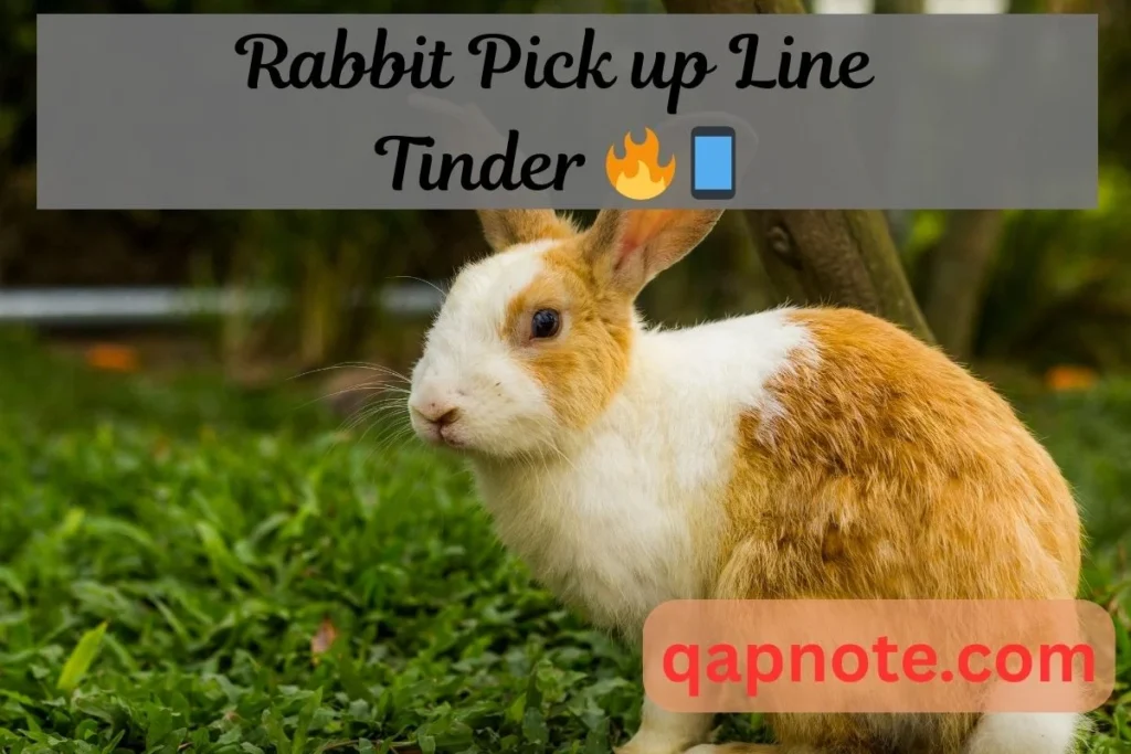 Rabbit Pickup Line Tinder