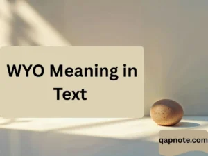 Read more about the article WYO Meaning in Text — A Complete, Story-Driven Guide