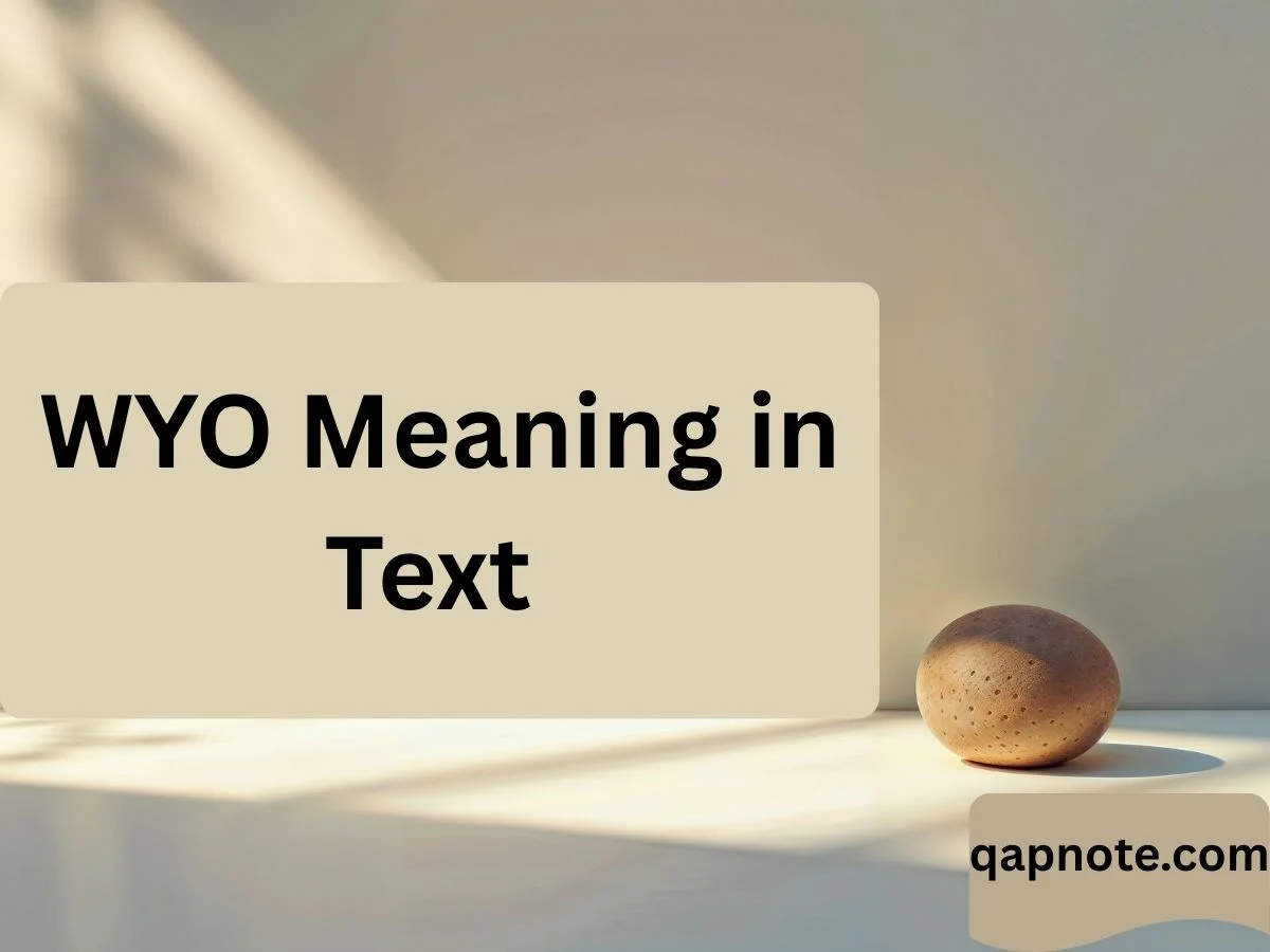 Read more about the article WYO Meaning in Text — A Complete, Story-Driven Guide