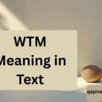 WTM Meaning in Text: What It Really Means, How to Use It, and Why Everyone’s Saying It
