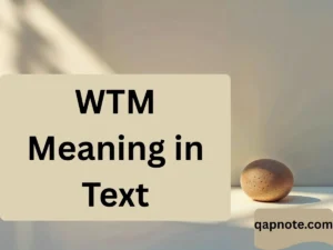 Read more about the article WTM Meaning in Text: What It Really Means, How to Use It, and Why Everyone’s Saying It